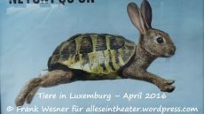 Tiere in Luxemburg – April 2016 © Frank Wesner für alleseintheater.wordpress.com
